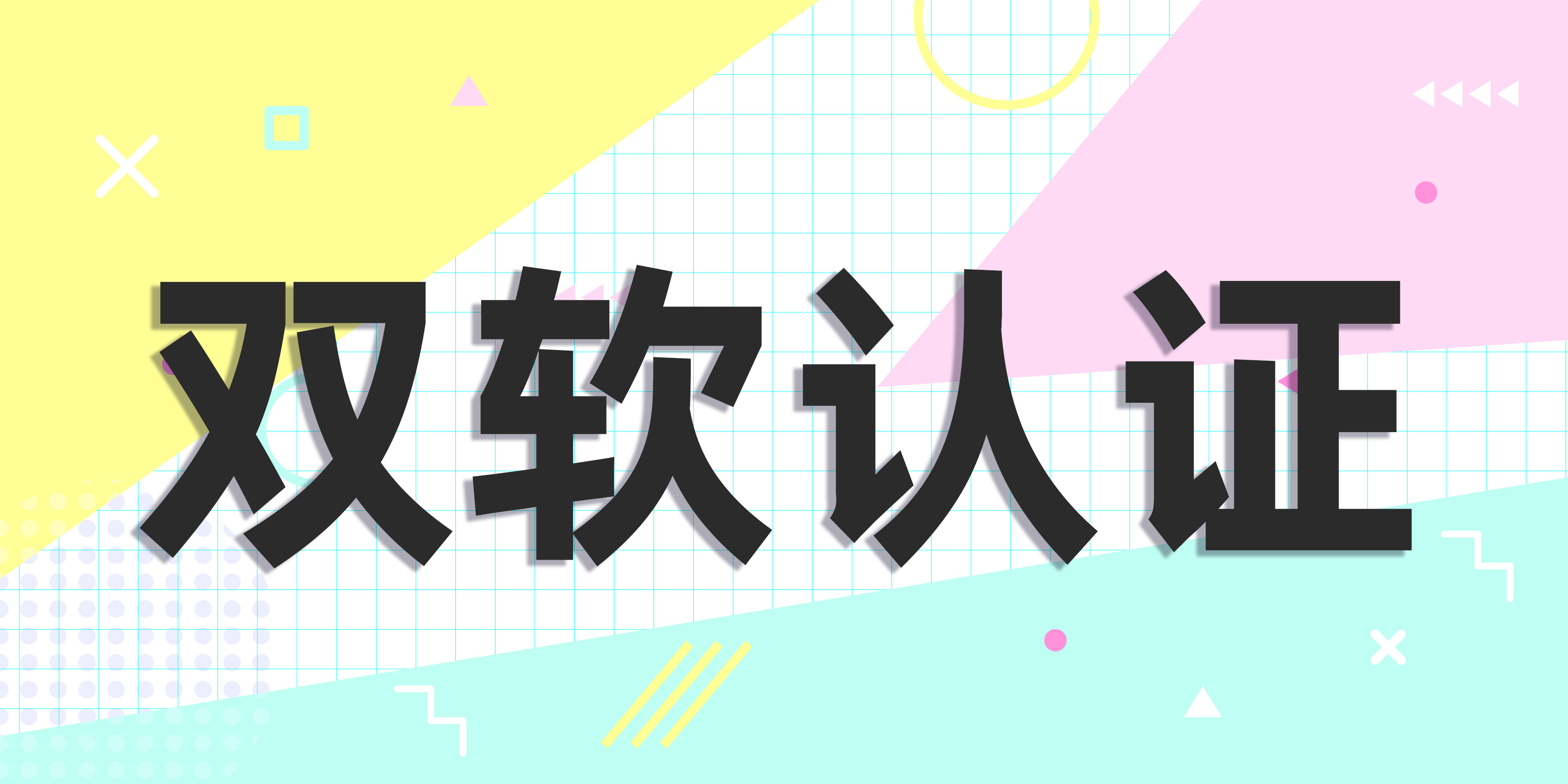 山东双软认定的好处及认定标准(图2)